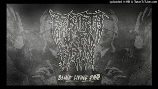 Rebirth of Pain - Blind Living Path