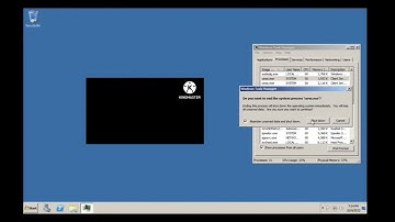 Windows Server 2008 R2 BSOD (Limbo PC Emulator X86)