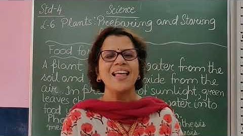 IV Science Chapter 6 Plants   Preparing & Storing Food Part 2