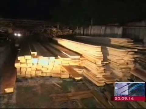 გარემოსდაცვითი კანონმდებლობის დარღვევის ფაქტები პანკისისა და ატენის ხეობებში