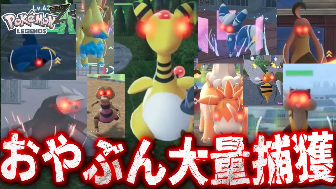 16 [Oyabun Pokemon Mass Capture Mission] Collect all the Pokemon