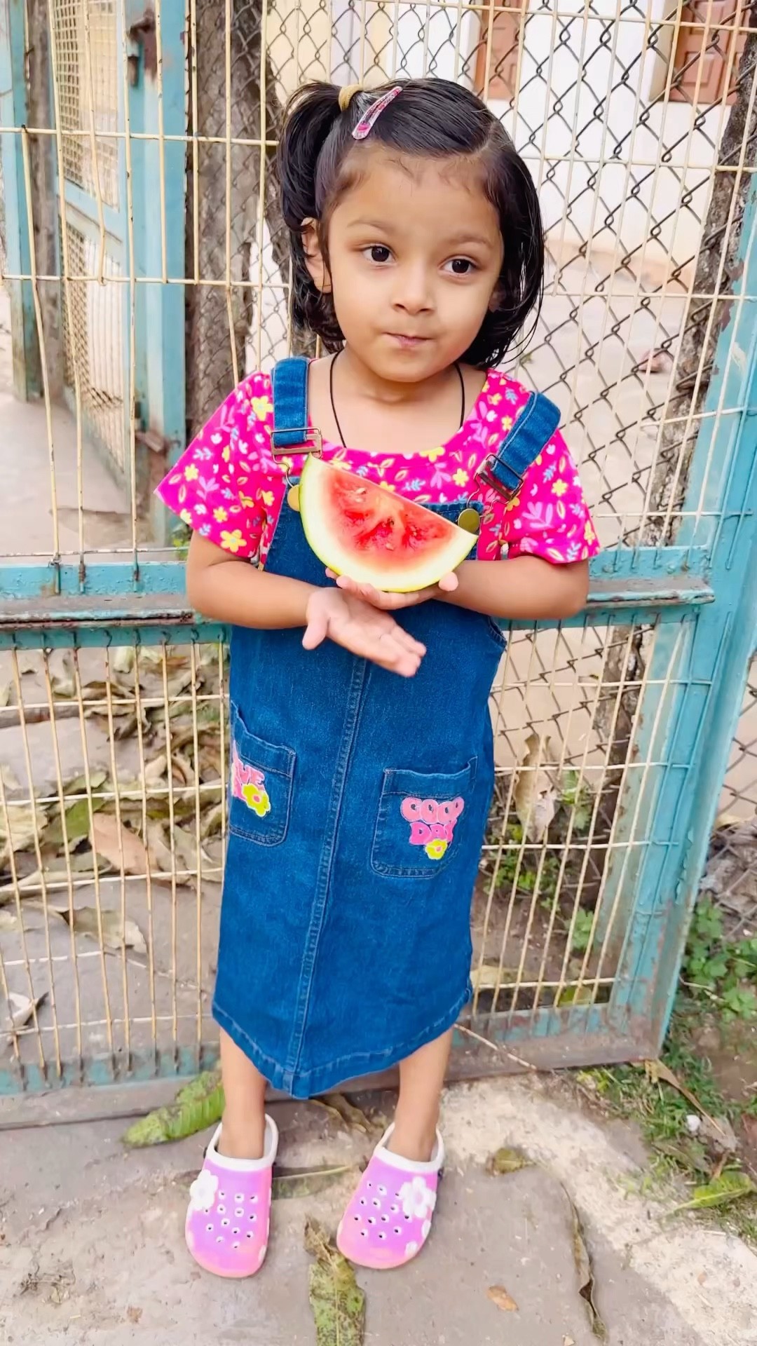 Tooktook niche gira watermelon ? kisko di?