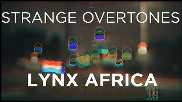 Strange Overtones - Lynx Africa (Official Video)