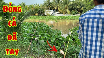 Câu Cá Tra Sông | Bãi Mới Cục Mồi Đầu Tiên Dính Luôn Cá Bự | Fishing - Miền Tây