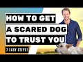 Top Ways on How to Get a Scared Dog to Trust You✔️| 7 EASY STEPS