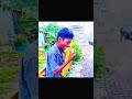 free fire mein agar momos house a jaaye to kya hoga yah Video dekh kar janu#funny news#news