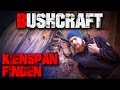 Kienspan suchen finden erkennen sammeln ernten Feuer Zunder (german/deutsch) Bushcraft Survival