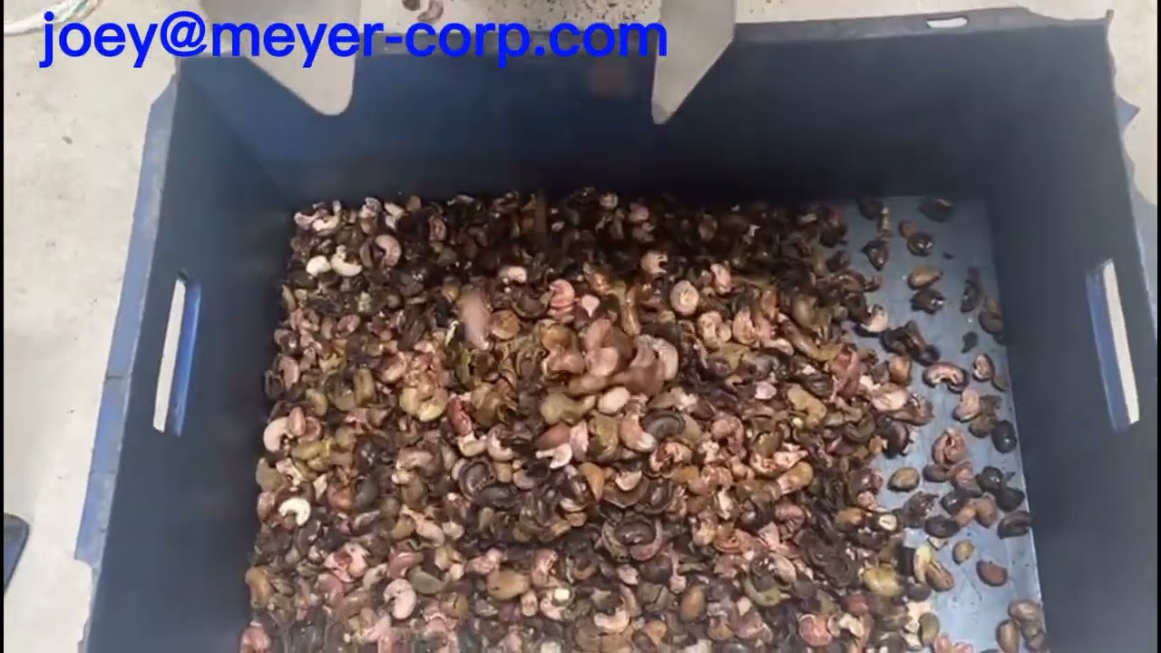 MEYER cashew sorting solution, 6SXZ-240KM model: for shell and borma(kernel unpeeled) separation.