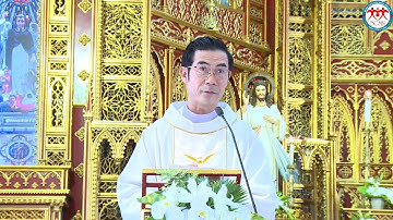 🔴GIẢNG LỄ TÂN LINH MỤC CỰC HAY Ý NGHĨA | Lm. Giuse Trịnh Tiến Thành