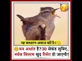 यह ध्वनि मन शांत करने  में मदद करती है#viral #SoundHealing #MindRelax #CalmMind #stressrelief