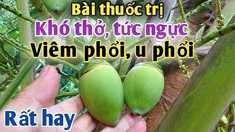 Bài thuốc trị Viêm phổi, u phổi rất hiệu quả. PHAN HẢI Channel