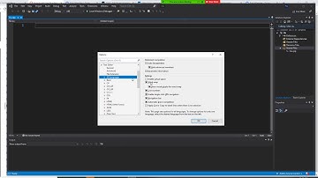 C++ programming how to include  line numbers and word wrap function