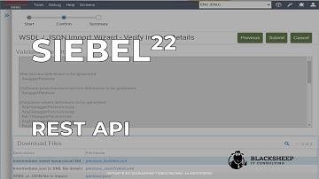 REST-along: Custom Attachment BC (Part 2 of 2)