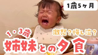 ご飯をとられて激怒。悔し泣き。