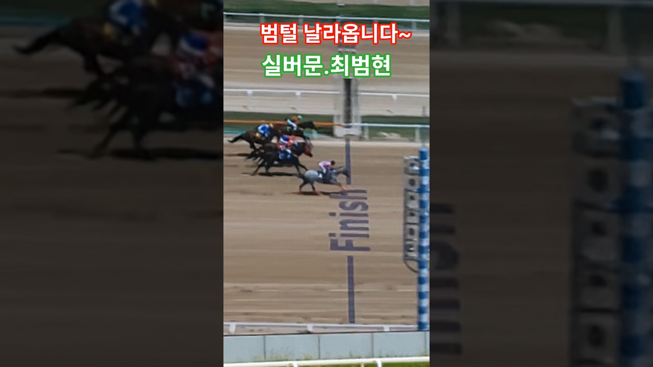 기똥찬추입승 #경마 #말 #달려라말 #shorts