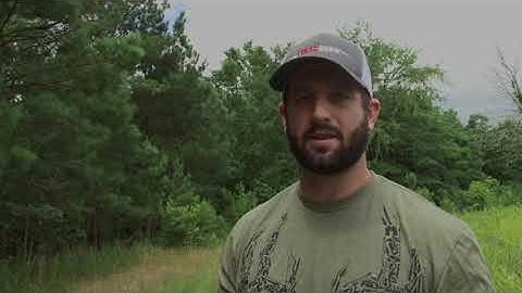 Tree Stand Placement - Bowhunter Basecamp