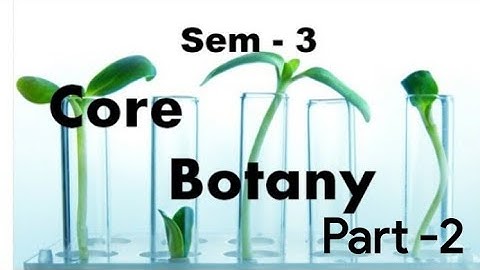 Kerala university BSc botany previous questions - BOTANY - ( sem - 3 ) P2