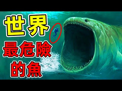 全世界10種最危險的魚，食人魚竟然只能排第6，第一名是所有男人的噩夢。|#世界之最top #世界之最 #出類拔萃 #腦洞大開 #top10 #最危險的魚