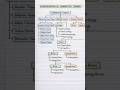 Connective Tissues Classification Flowchart |#biology |#neet #revision #mypreparation #science