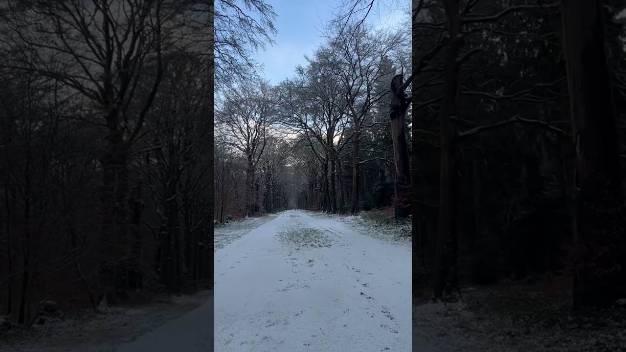 Sneeuw in 't Corversbos - 