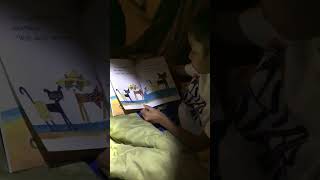 Apollo Reads Pete The Cat