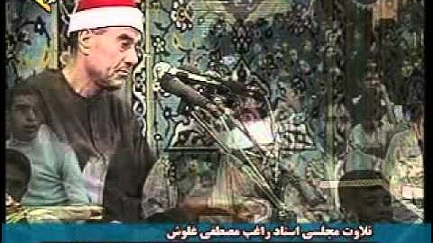 راغب مصطفى غلوش سورة الحجرات