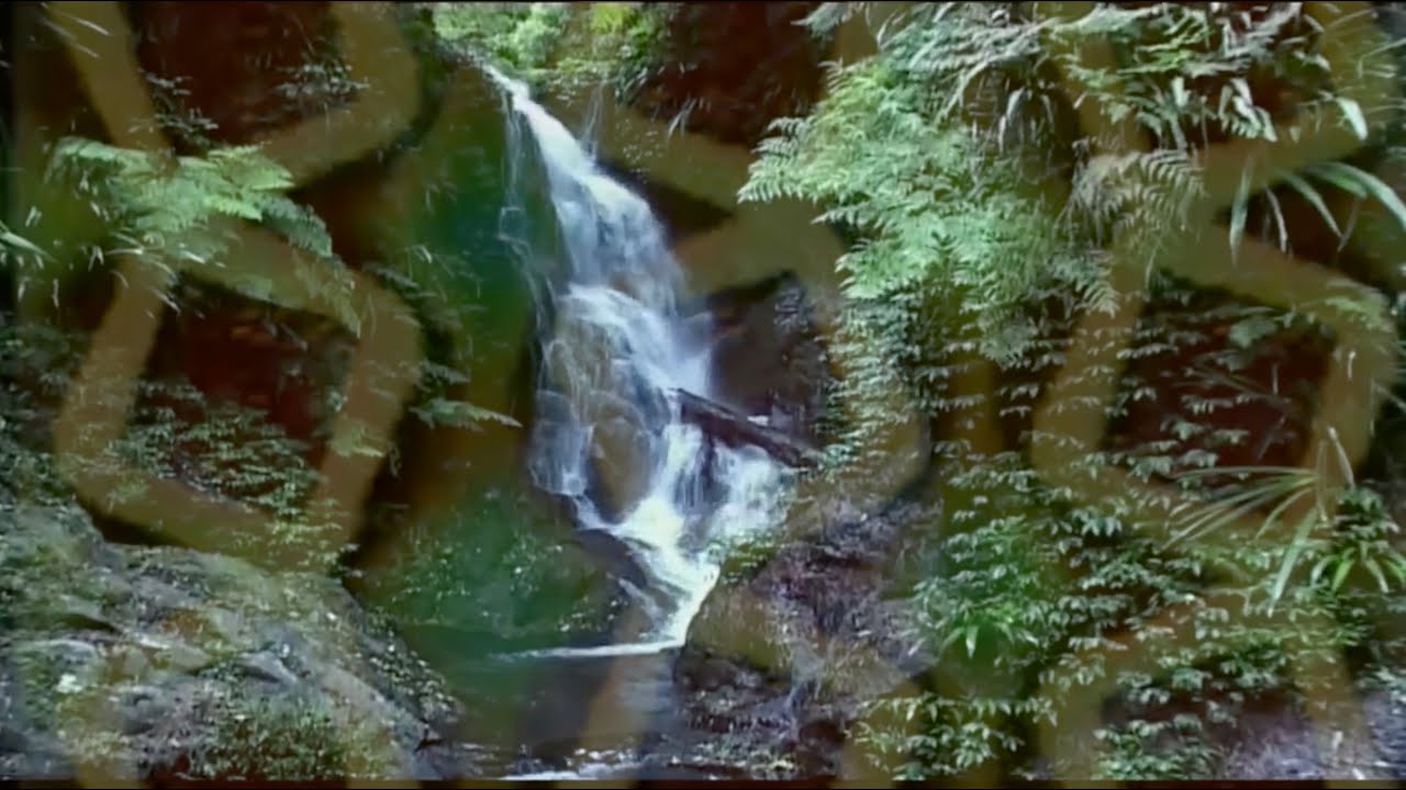 eventual infinity @ Virtual Memory 14 (Album Release & Birthday Celebration)