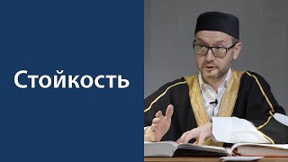 Терпение и великодушие