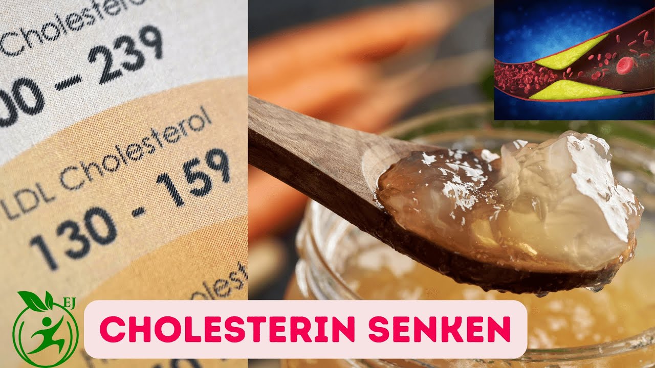 Was Ist Der Beste Cholesterinsenker www.youtube.com