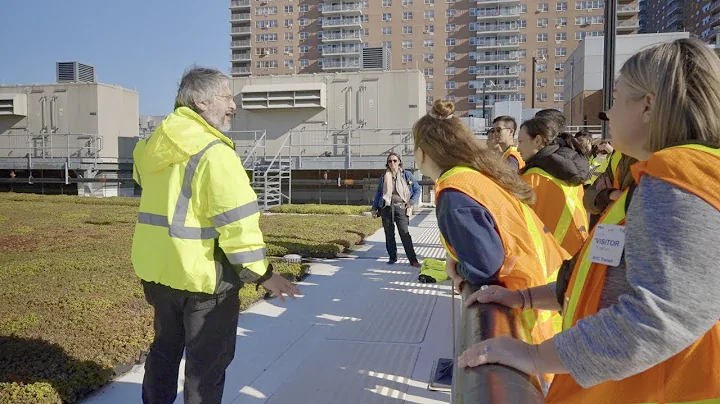 What Does a Chief Environmental Engineer Do?