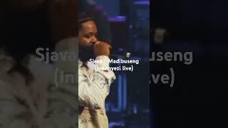 Sjava Madibuseng  Performance