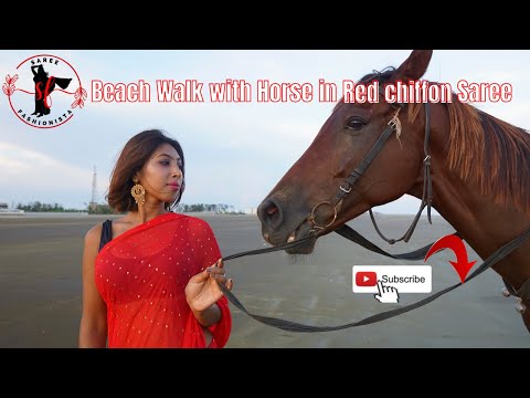 Red Chiffon Saree video by Neelam | Horse & Neelam | Beach Walk | Saree Look | Fashion Video
