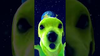 What's wrong with duh dog #dog #alien