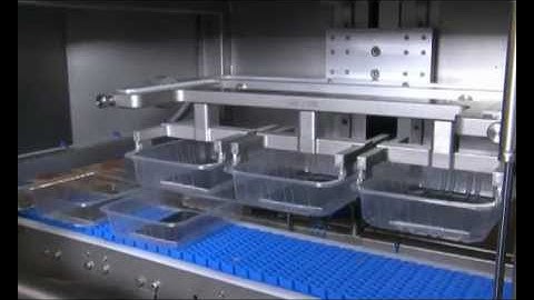 Tramper D-360 | stand-alone denester for placing trays on a conveyor belt