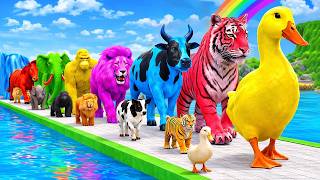 Colorful Cars & Animals 🌈 | Learn Colors, Animals & More | Kids Cartoon screenshot 3