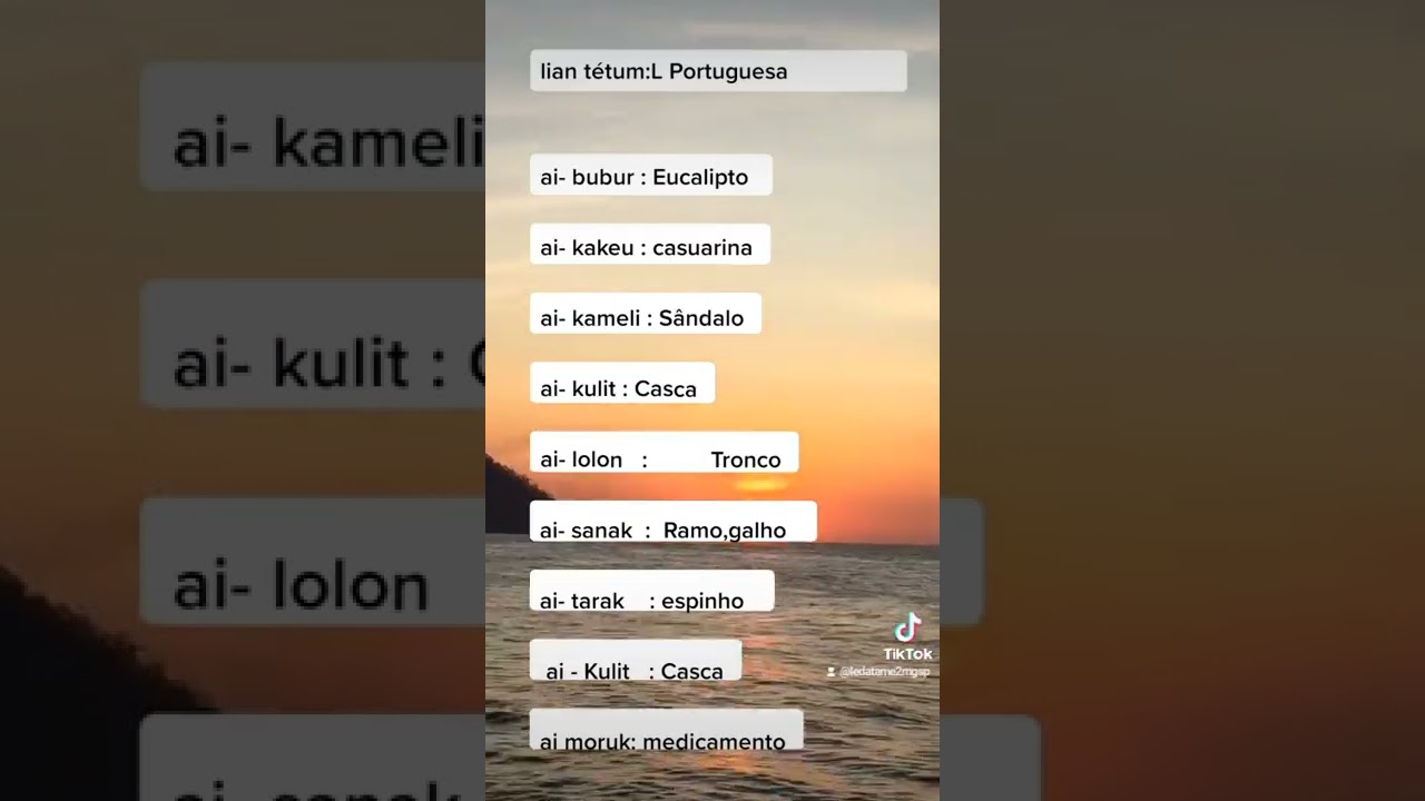 Aprender vocabulário em Língua portuguesa e do Tétum 🥰😘😊