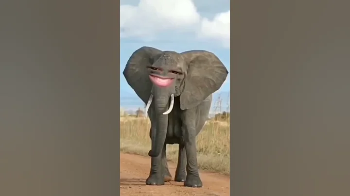 hathi Raja #cartoon #hathi #hathiraja #funnyvideo #comedy #shorts