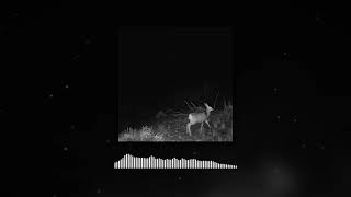 Truman Sinclair - Right On Time