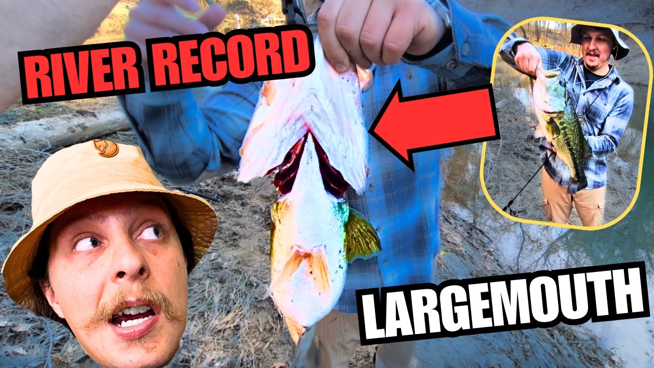 The Biggest Bass in this River.
