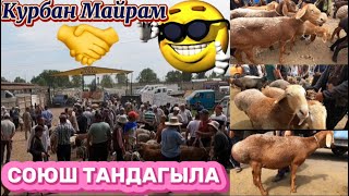 Мал Базар Кара-Балта | ХАН ТВ. Кой Баалары