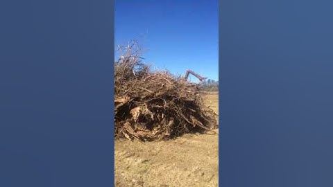 Cat d6d pushing trees