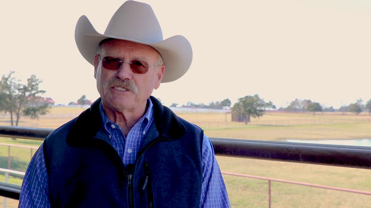 AQHA Microchipping V 6