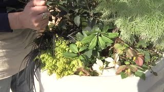 Expert tips: How to protect your plants during cold weather