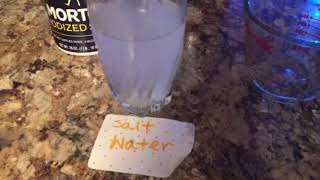 Alka-Seltzer lab- Salt water test