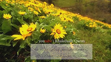 تلاوة خاشعة لسورة الفجر للقارئ الشيخ ماجد الزامل Surah Al-Fajr