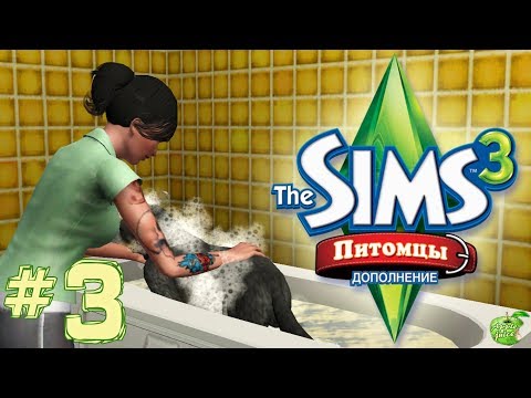 Видео: The Sims 3 Питомцы #3 Блохи!