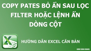 Copy pates bỏ ẩn sau lọc filter hoặc lệnh ẩn dòng cột