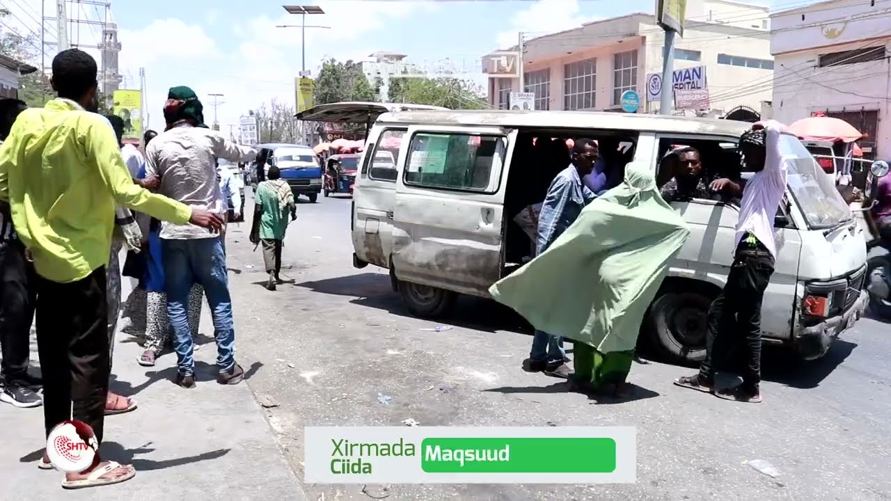 «Если завтра цена на топливо достигнет 2 долларов, общественный транспорт прекратит работу». Води...