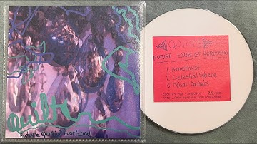 Quilts - Future Exorcist Horizons (CDr, Cook An Egg, 2007)