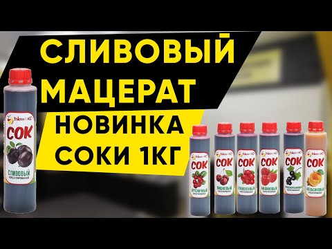 Мацерат из сливы. Новые концентрированные соки